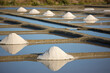 © Thierry RYO - Tas de sel marin dans les marais salant en France.