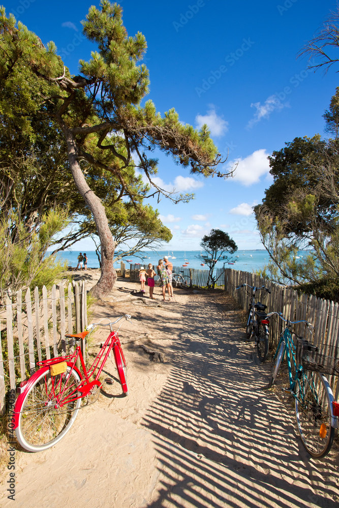 Les - ☀️ Une balade à vélo comme on les aime. Des sourires, du soleil, des paysages à couper le