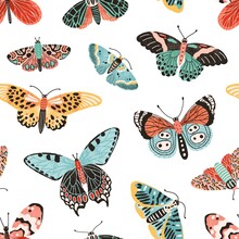 Tropical Butterflies And Moths With Wings Seamless Pattern. Exotic Flying Insects Vector Flat Illustration. Beautiful Hand Drawn Butterfly Wallpaper Template. Decorative Colorful Print