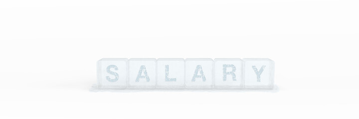 Wall Mural - 3d ice cubes with the word salary