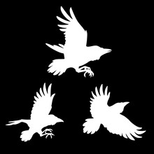 Set Of Three Silhouettes Of Soaring Birds