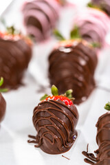 Poster - Chocolate dipped strawberries