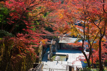 京都　清水寺の音羽の滝と紅葉　