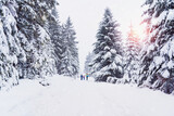 Fototapeta Na ścianę - Happy family is walking in the snow