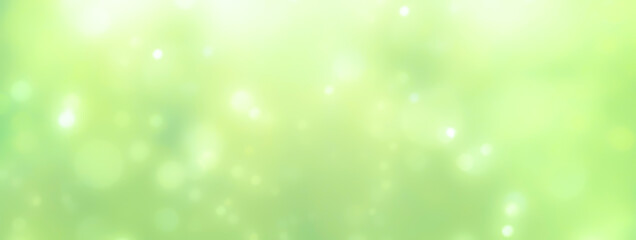 Wall Mural - spring background - abstract banner - green blurred bokeh lights -