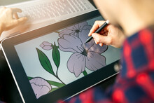 Illustrator Graphic Designer Draw Flower Illustration On Drawing Tablet. Digital Artist At Work