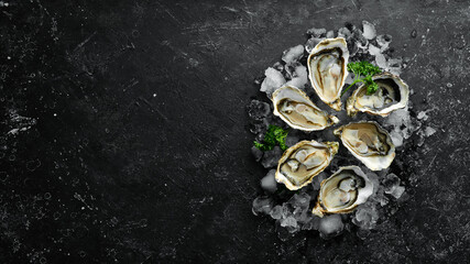 Open oysters Fines de Claire. Free space for your text. Seafood. Flat lay.