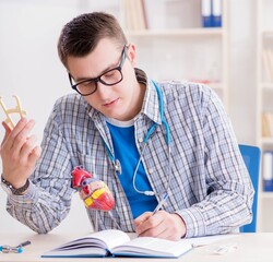 Wall Mural - Medical student studying heart in classroom during lecture