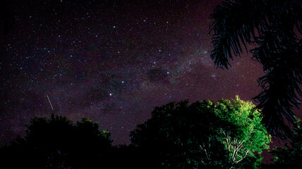 Wall Mural - starry night sky