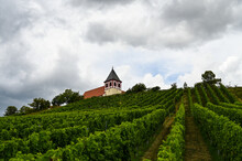Church With A Half-timbered Bell Tower On Top Of A Vineyard. Vine Is Growing In The Front And Dark Clouds Are In The Background.