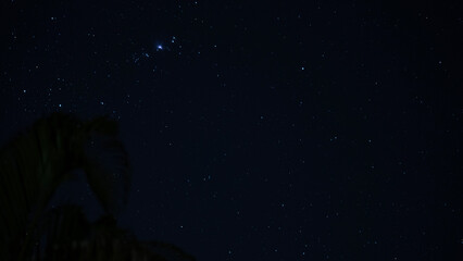 Wall Mural - sky with stars