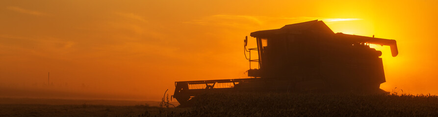 Wall Mural - Agriculture. Combine harvester pours grain into the car body at sunset. Seasonal harvesting the wheat. Dusty field from the work of grain harvesting equipment. Silhouette tractor in the sunlight.