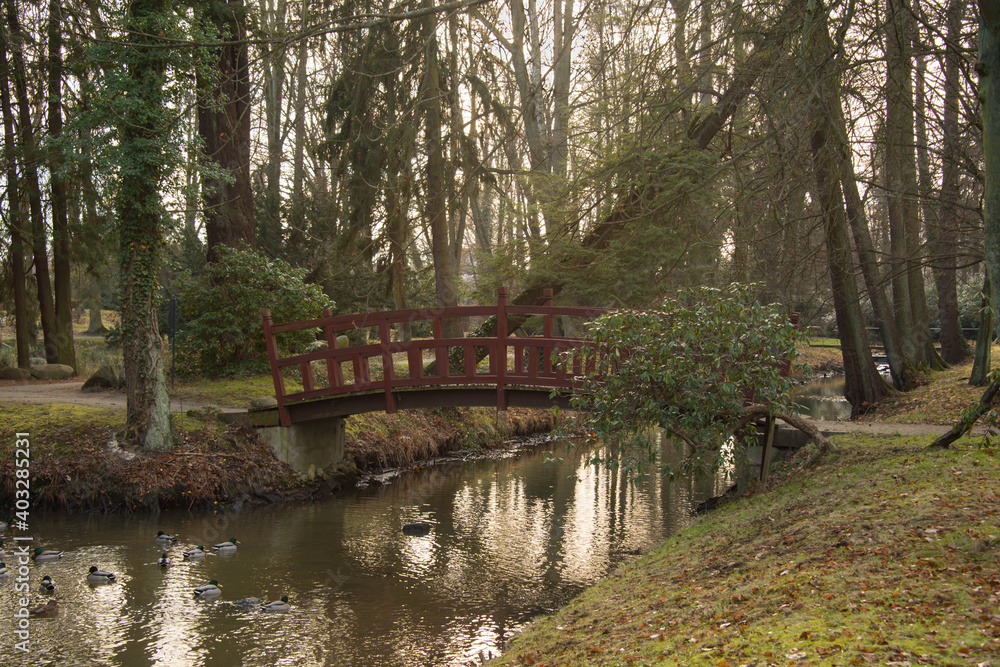 Park dworski w Iłowej. Drewniany mostek w stylu japońskim. nad rzeką Czerna Mała. - obrazy, fototapety, plakaty 