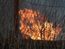 Extensive Fire Behind The Fence