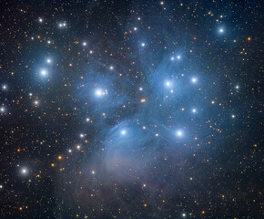 Wall Mural - the pleiades star cluster