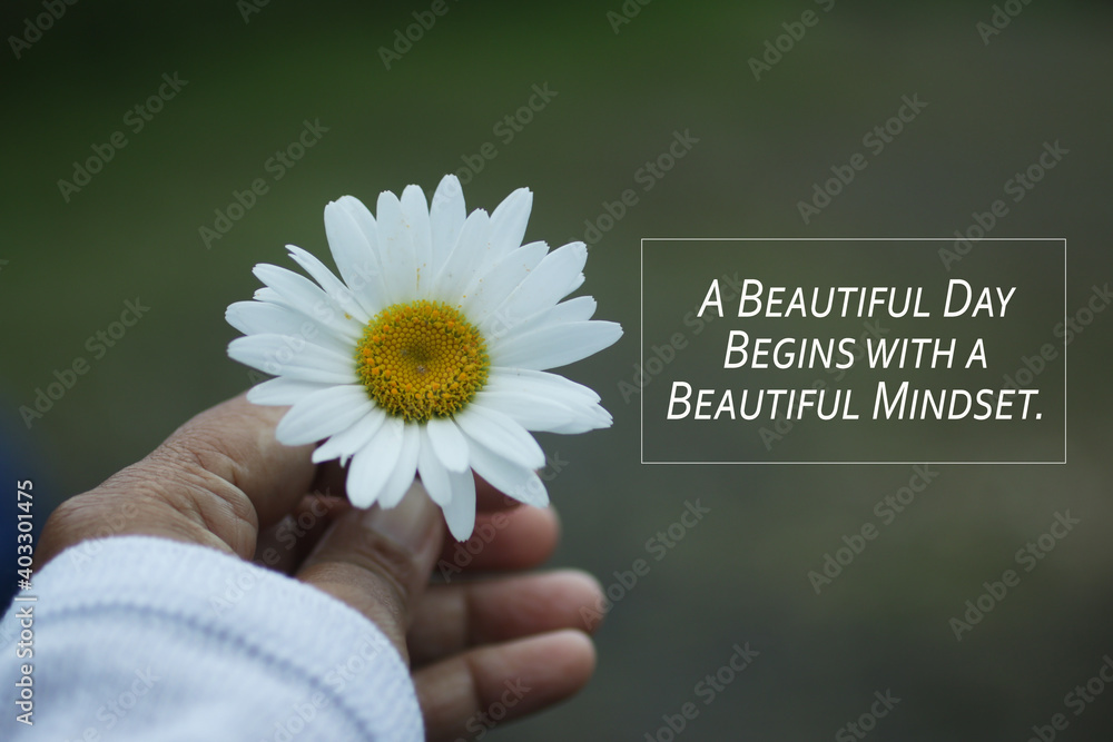 Inspirational quote - A beautiful day begins with a beautiful mindset. Motivational words concept with hand holding a white daisy. Happiness and success concepts. - obrazy, fototapety, plakaty 