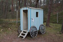 Small Wooden Trailer For Transporting Horses Stands Among The Pine Trees In Autumn