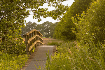 Sticker - Bridge on walking track in green grassland river valley