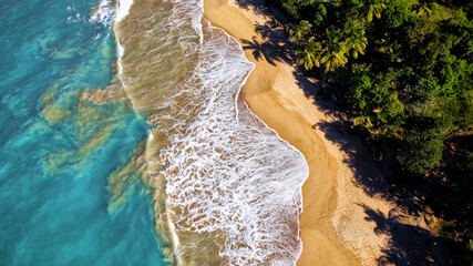 Aerial view of a Caribbean beach and waves, Guadeloupe, West indies, Antilles