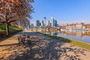 Wall Mural - Riverside path on the river Main in Frankfurt. Tree with flowers and benches in spring. Skyscrapers in the financial district with reflections in the water and ships on the pier