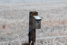 Ice Covered Bird House On Fence Post In November