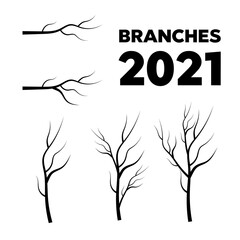Wall Mural - Leaves, swirls and floral elements. Olive branch. Vector tree branches silhouette