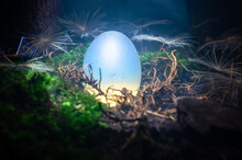 White Dragon Egg In The Mist