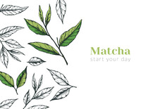 Vector Illustration Of An Advertising Horizontal Banner Of Matcha Tea Or Green Tea. Flyer Or Post About A Tea Ceremony Or Product