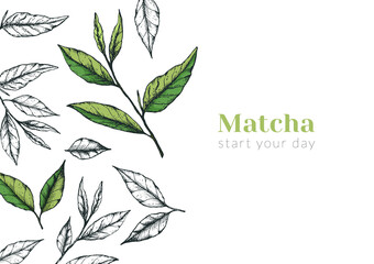 Vector illustration of an advertising horizontal banner of matcha tea or green tea. Flyer or post about a tea ceremony or product