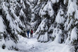 zwei Wanderer von hinten im Schnee Wald