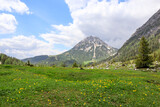 Fototapeta Na ścianę - A panoramic view on the Alpine peaks in Austria from the  lush green valley overgrown with yellow wild flowers. The slopes are still partially covered with snow. Stony and sharp mountains. Overcast