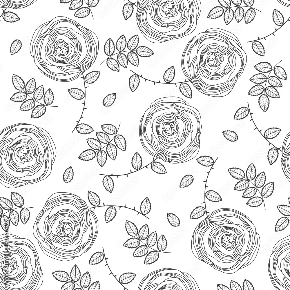 Seamless vector pattern with rose flowers. Black floral contours on ...
