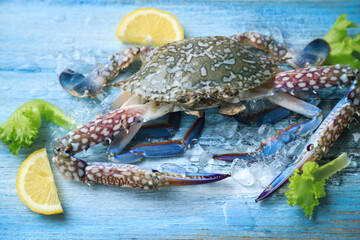 blue crab with ice in raw for cooking in home 