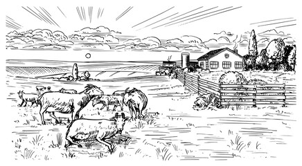 Poster - Rural meadow. A village landscape with sheep, hills and a farm. Sunny scenic country view. Hand drawn engraved sketch. Vintage rustic banner for wooden sign or badge or label.