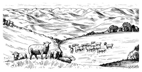 Leinwandbilder - Rural meadow. A village landscape with sheep, hills and a farm. Sunny scenic country view. Hand drawn engraved sketch. Vintage rustic banner for wooden sign or badge or label.
