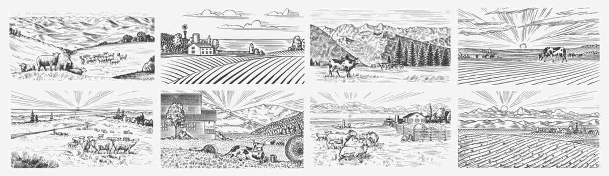 Fototapete - Rural meadow set. A village landscape with cows, goats and lamb, hills and a farm. Sunny scenic country view. Hand drawn engraved sketch. Vintage rustic banner for wooden sign or badge or label.