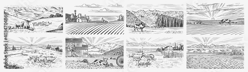 Fototapete Rural meadow set. A village landscape with cows, goats and lamb, hills and a farm. Sunny scenic country view. Hand drawn engraved sketch. Vintage rustic banner for wooden sign or badge or label.