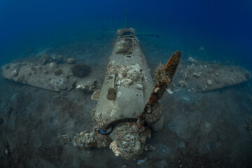 Wall Mural - World War 2 Mitsubishi Zero fighter plane wreck underwater covered in coral growth in Papua New Guinea