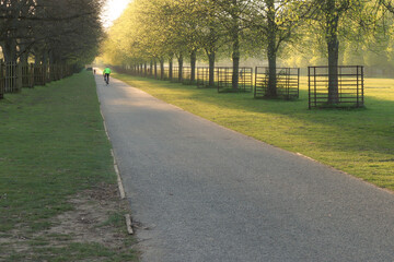 Early morning cyclist training hard along a footpath in a park lined by trees at sunrise