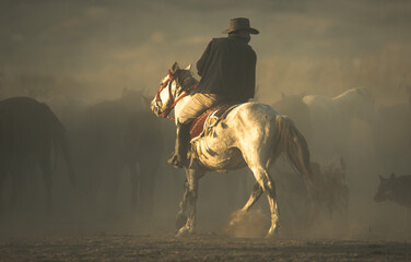 horse in the sunset