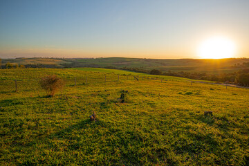 Wall Mural - sunset in the field