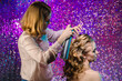 © Miramiska - Stylist makes girl's hair. Combing female hair. Hair care for woman. Stylist makes an evening hairstyle for model at photo shoot.