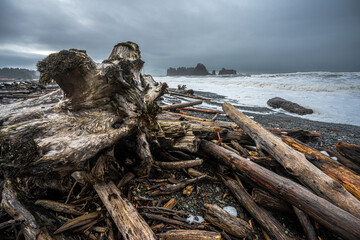 Rialto Beach on a Windy Day in December, WA