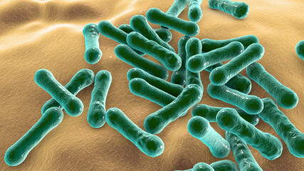 Bacteria Corynebacterium diphtheriae