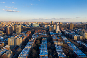 Wall Mural - Prospect Heights - Brooklyn, New York