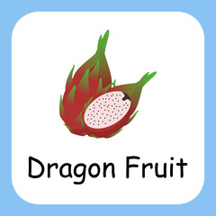 Flat Illustration of Dragon Fruit with Text Vector Design. Education for Kids.