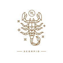 Zodiac Scorpio Horoscope Sign Line Art Silhouette Design Vector Illustration. Creative Decorative Elegant Linear Astrology Zodiac Scorpio Emblem Template For Logo Or Poster Decoration.