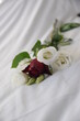 Rose blanche et rouge  bouquet de rose  posé sur un lit 