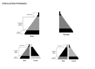 Population and Demography, Population Pyramids Chart or Age Structure Graph with Baby Boomers Generation, Gen X, Gen Y and Gen Z.