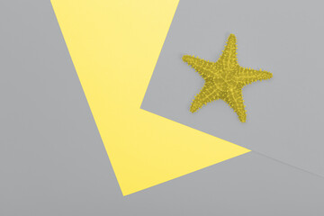 Yellow Starfish on gray paper background, flat lay. Trendy colors of 2021 - Ultimate Gray and Illuminating